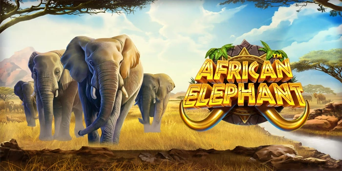 Ketajaman Analisis Kunci Menaklukkan Slot African Elephant